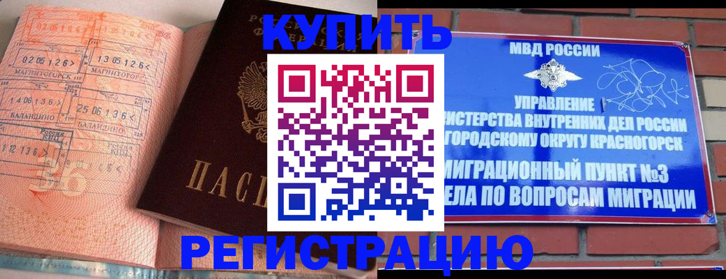 прописка 2025 в Тынде